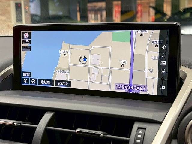 LEXUS NX300