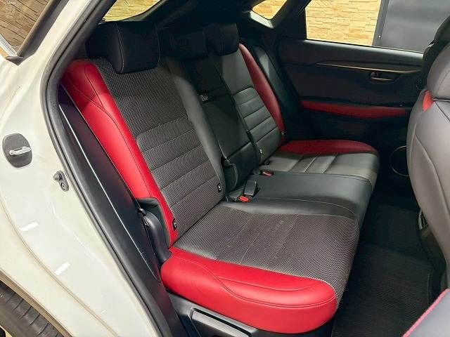 LEXUS NX300
