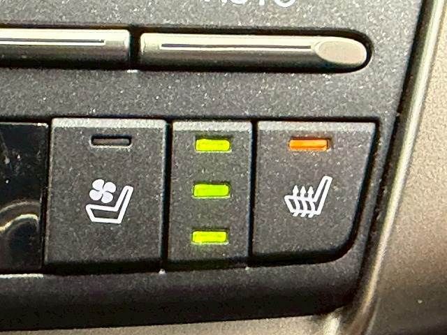 LEXUS NX300