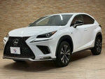 LEXUS NX300