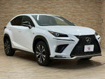 LEXUS NX300