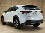 LEXUS NX300