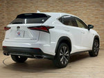 LEXUS NX300