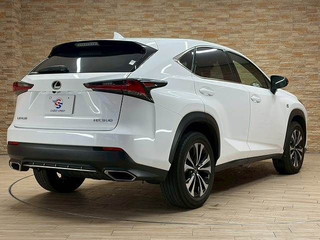 LEXUS NX300