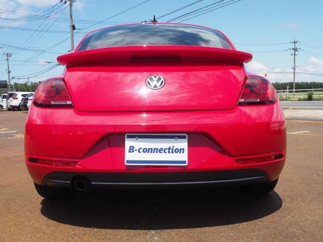 VOLKSWAGEN The BEETLE