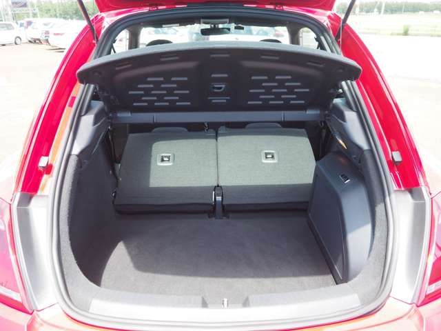 VOLKSWAGEN The BEETLE