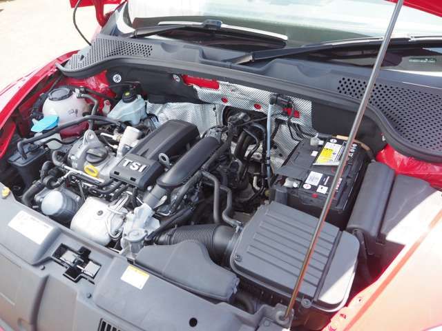 VOLKSWAGEN The BEETLE