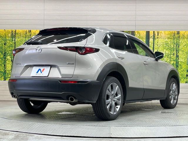 CX-30