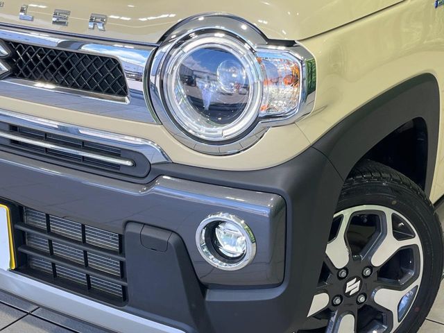 HUSTLER 4WD