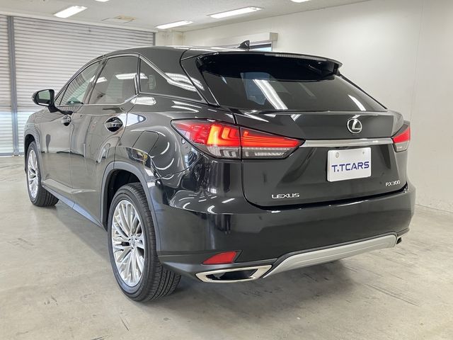 LEXUS RX300
