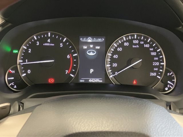 LEXUS RX300