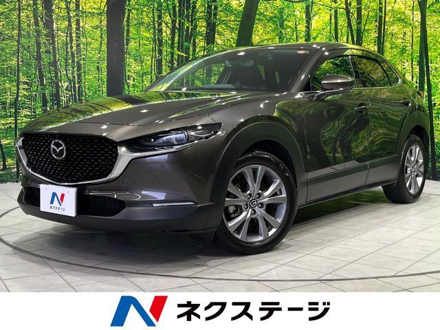 CX-30