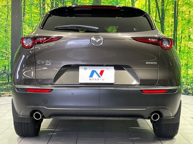 CX-30