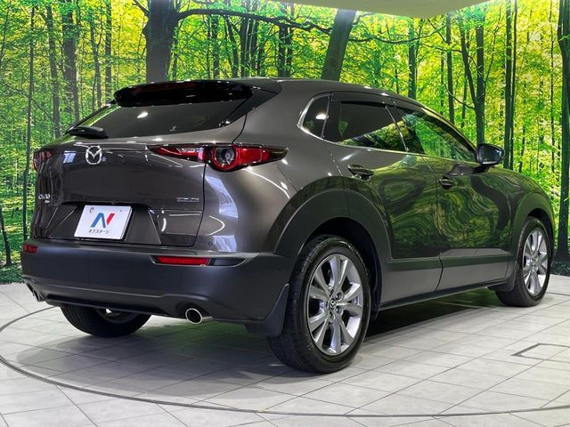 CX-30