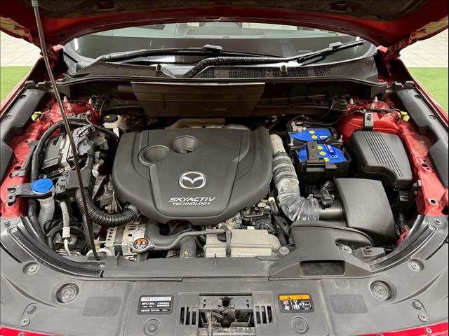 CX-8