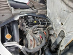 CANTER GUTS