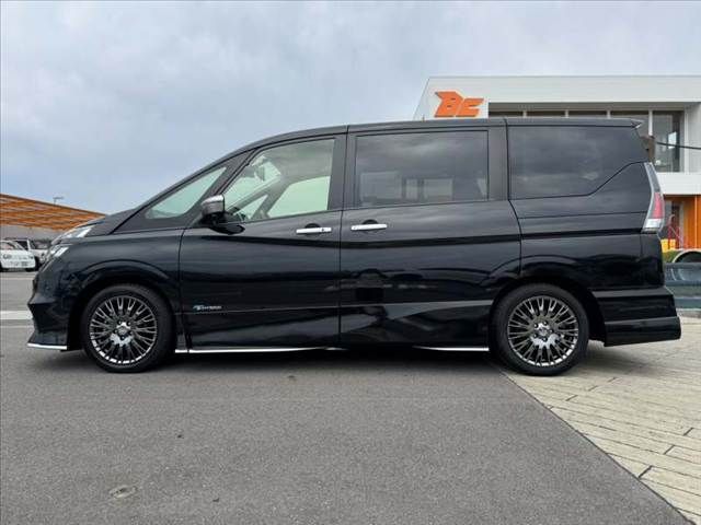 SERENA  S-HYBRID