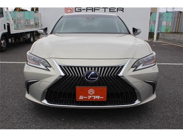 LEXUS ES300h