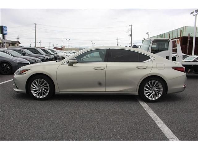 LEXUS ES300h