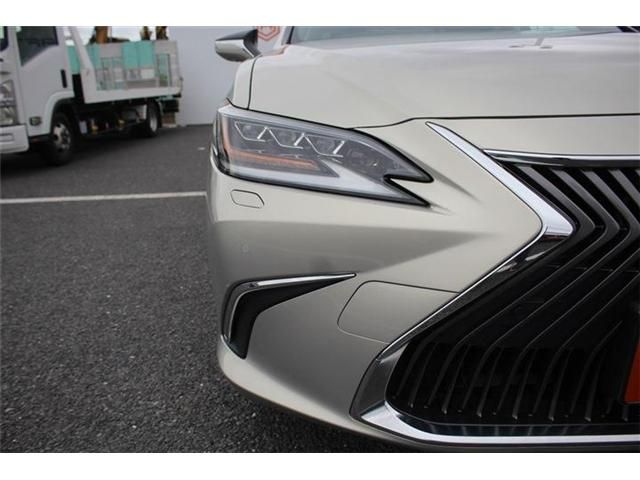 LEXUS ES300h
