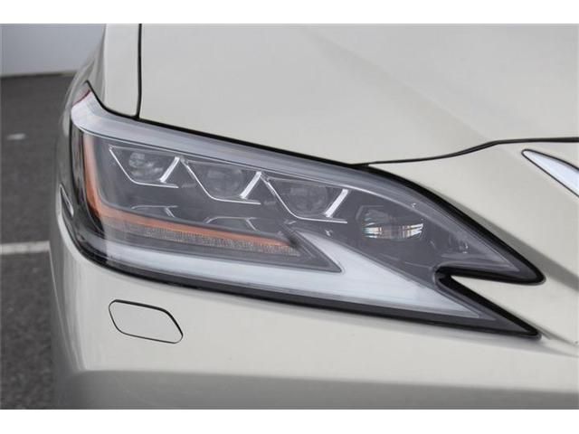 LEXUS ES300h