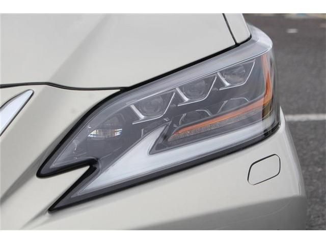 LEXUS ES300h