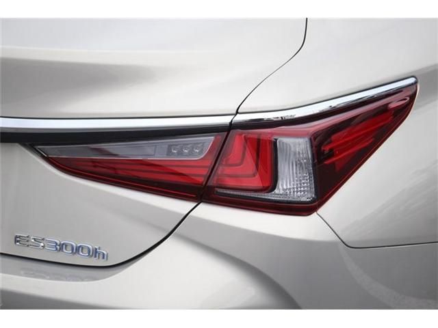 LEXUS ES300h