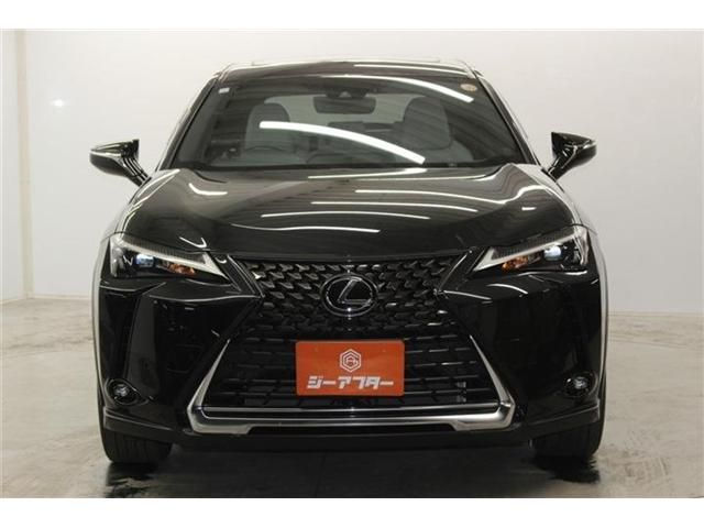 LEXUS UX250h