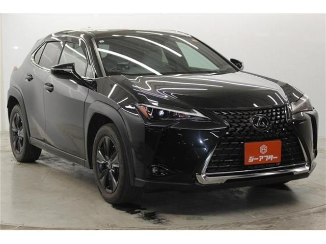 LEXUS UX250h