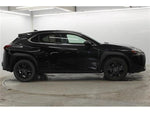 LEXUS UX250h