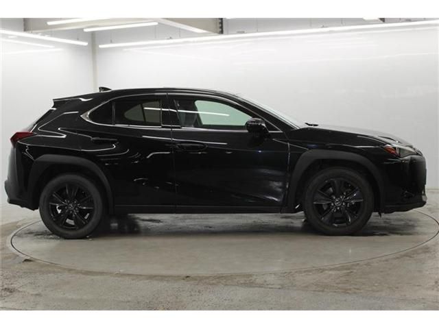 LEXUS UX250h