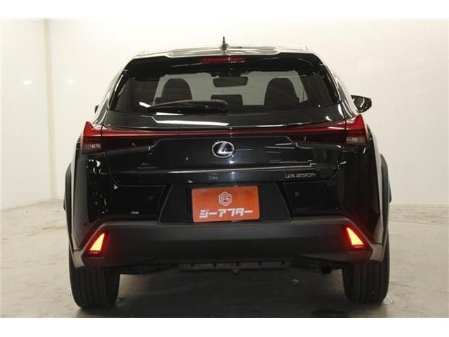 LEXUS UX250h