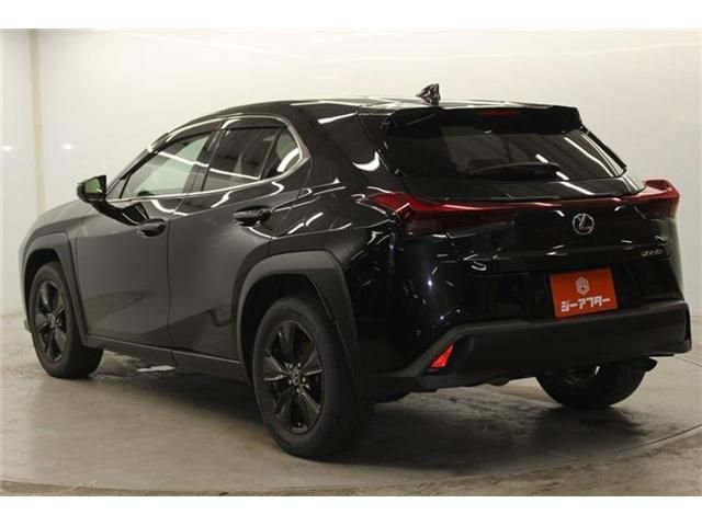 LEXUS UX250h