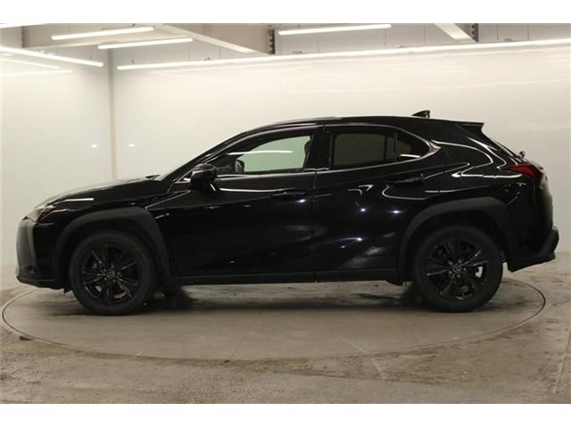 LEXUS UX250h