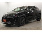 LEXUS UX250h