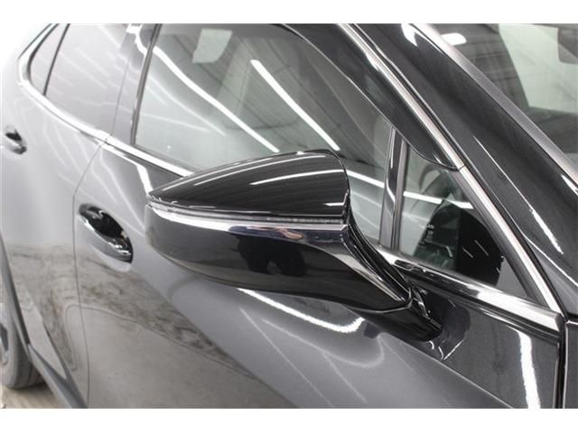 LEXUS UX250h