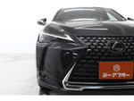 LEXUS UX250h