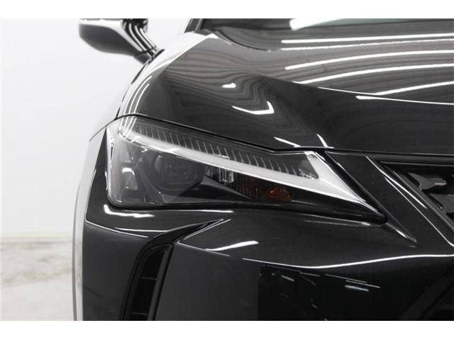 LEXUS UX250h