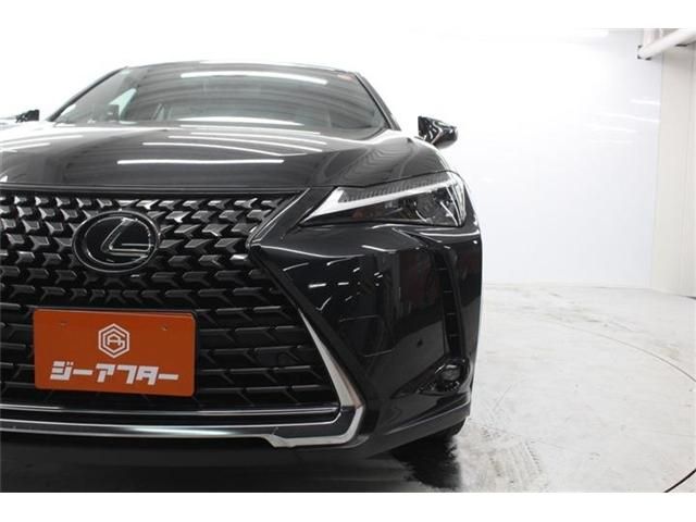 LEXUS UX250h