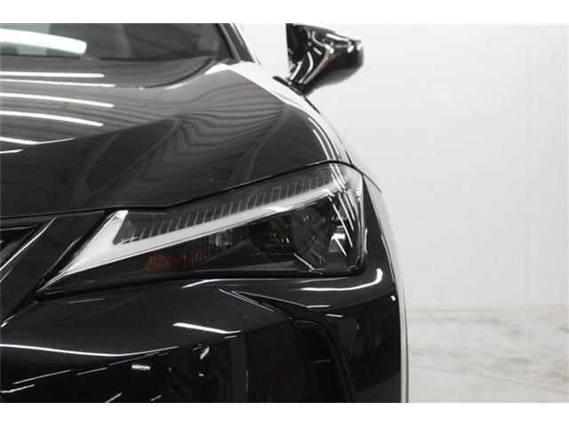 LEXUS UX250h