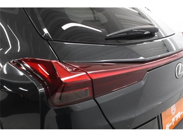 LEXUS UX250h