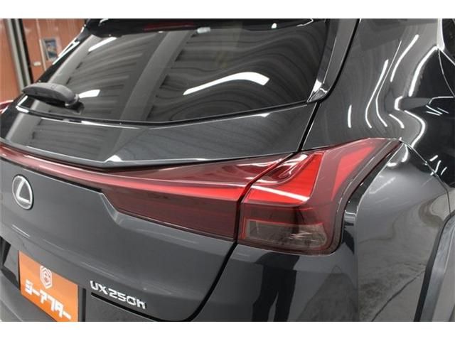 LEXUS UX250h
