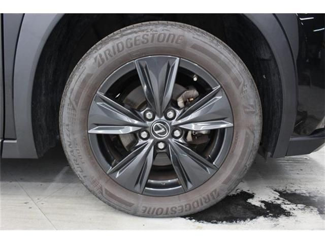 LEXUS UX250h