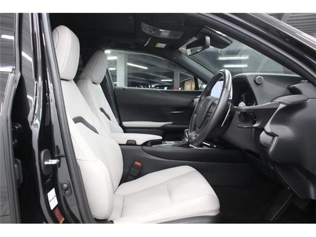 LEXUS UX250h