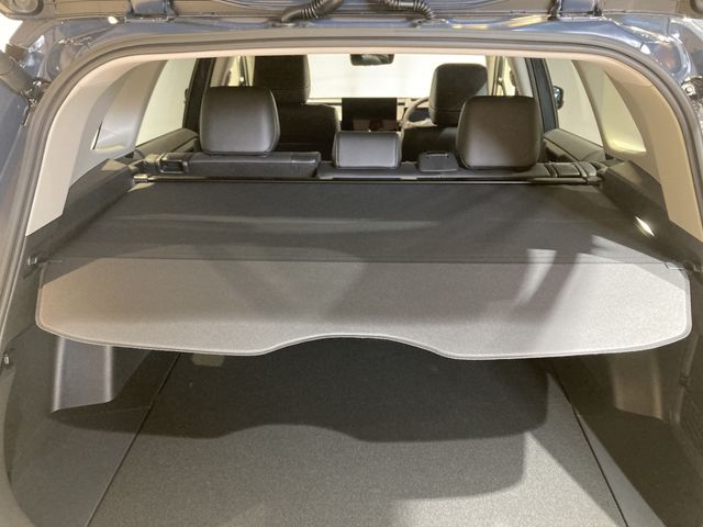 RAV4 HYBRID 4WD