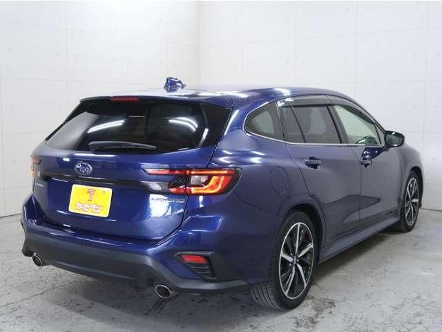 LEVORG