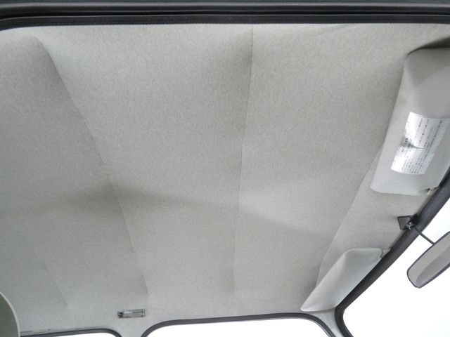 ROVER MINI