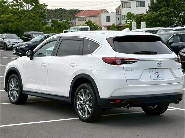CX-8