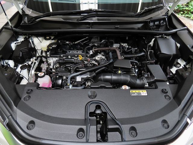 LEXUS LBX
