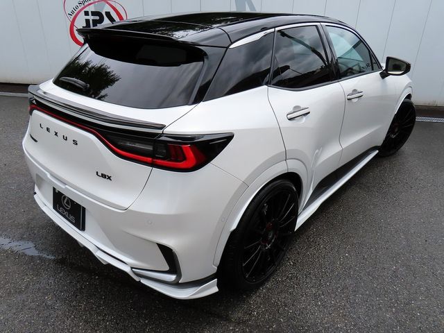 LEXUS LBX